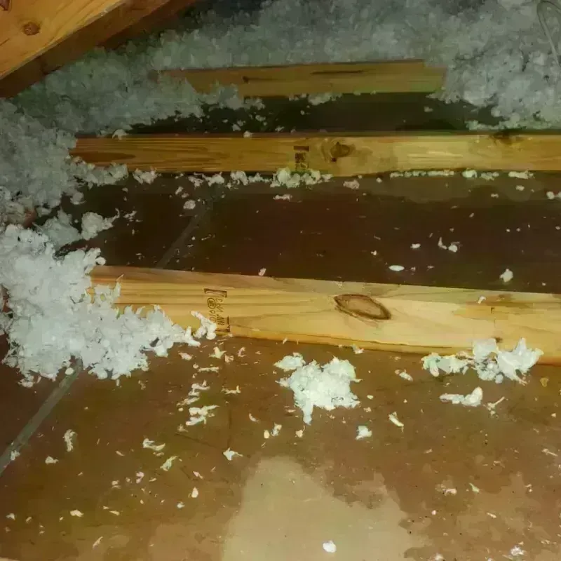 Attic Water Damage in Clarks Summit, PA